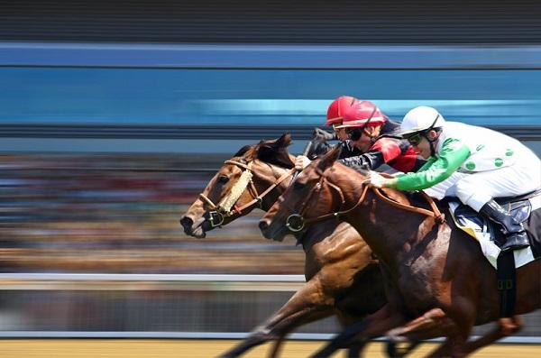 Courses de galop 1