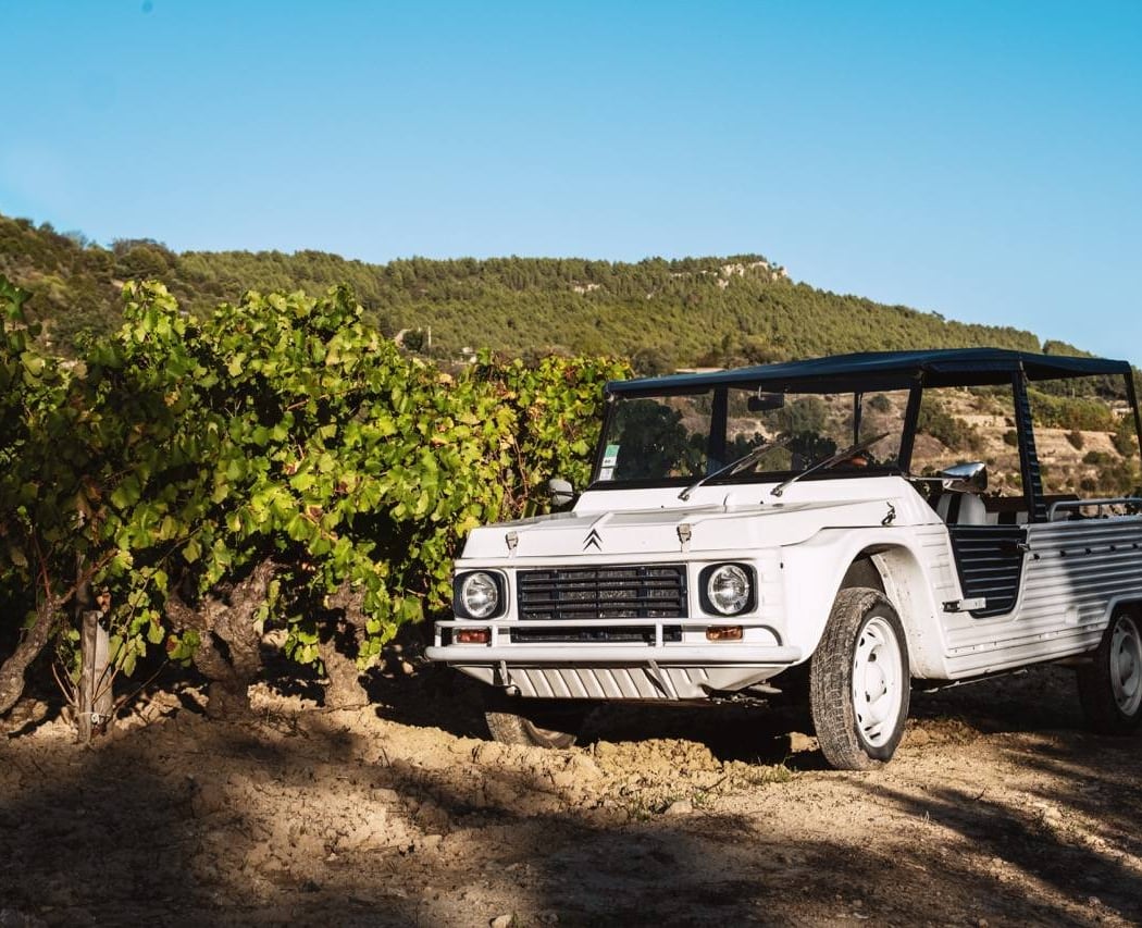 MY WINE ADVENTURE 1