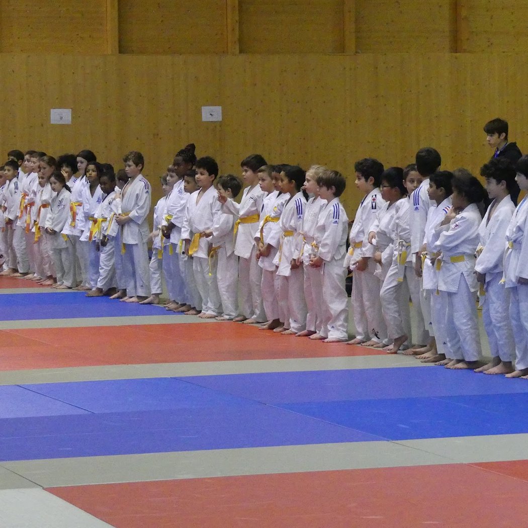 CAL Judo 3