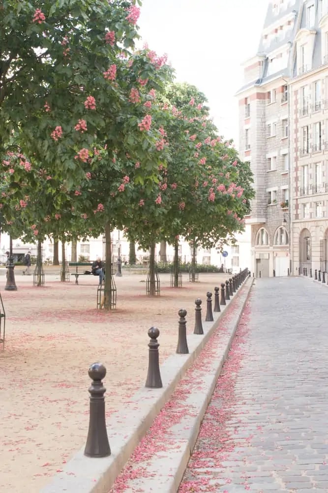 Place Dauphine 3