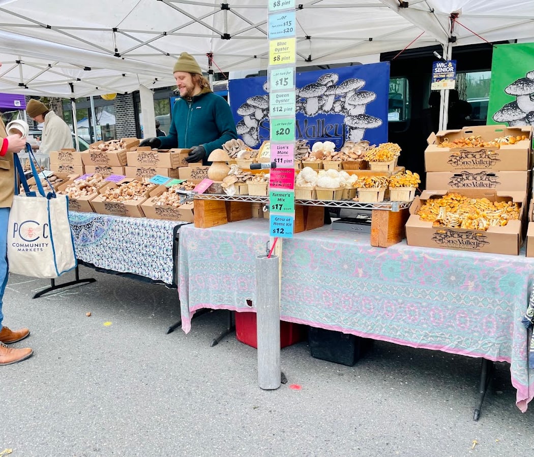 University District Farmers Market 1