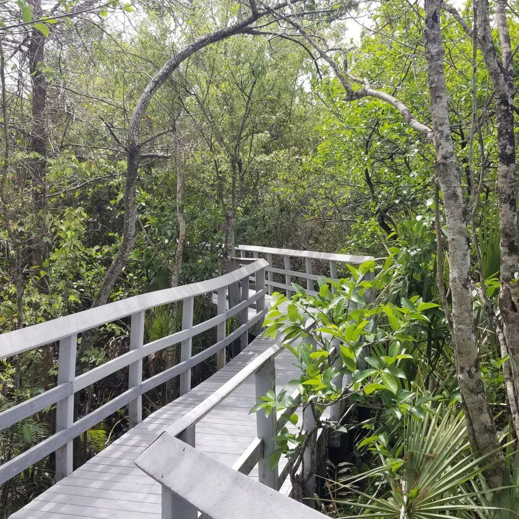 Guided Nature Walk 3