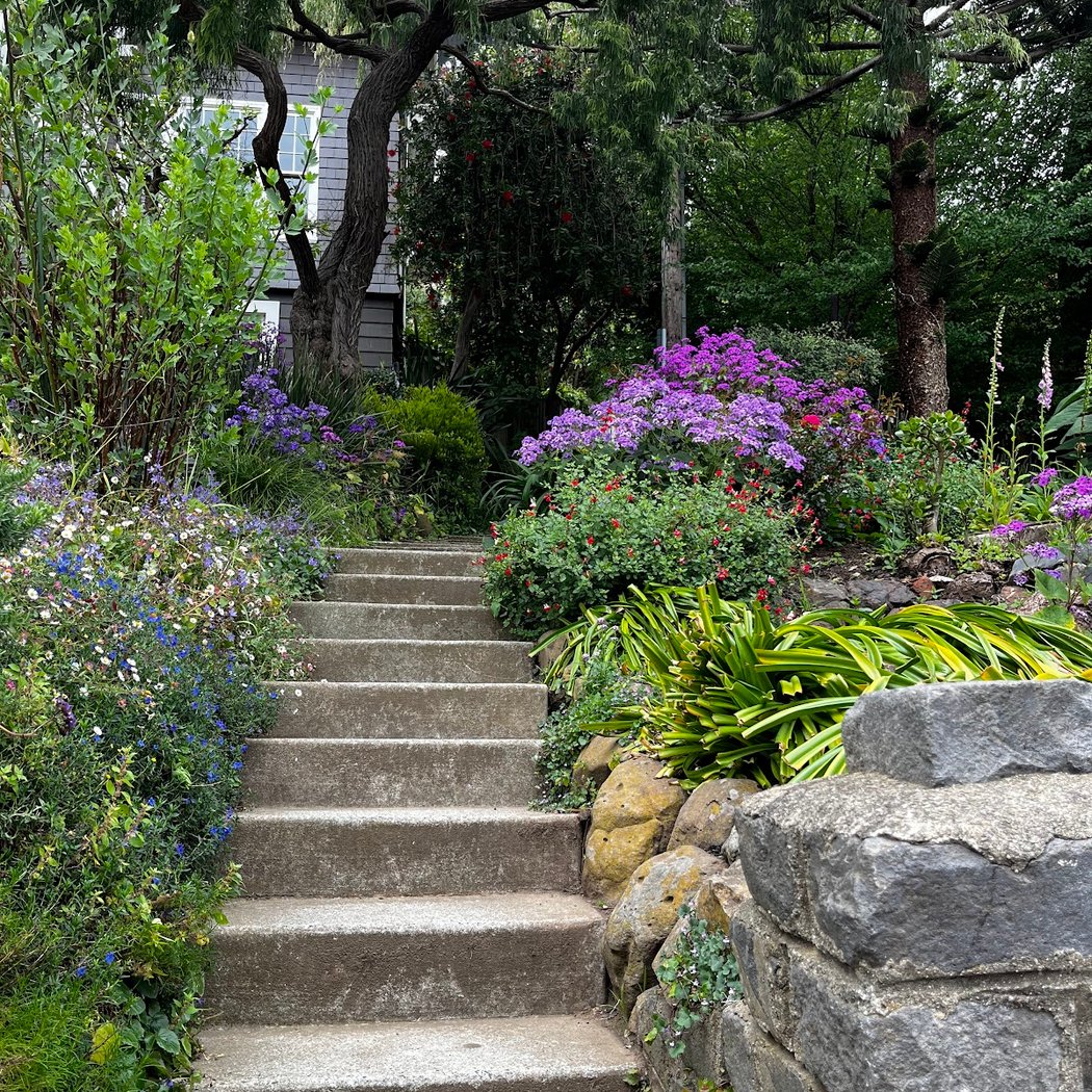 Harry Street Stairs 2