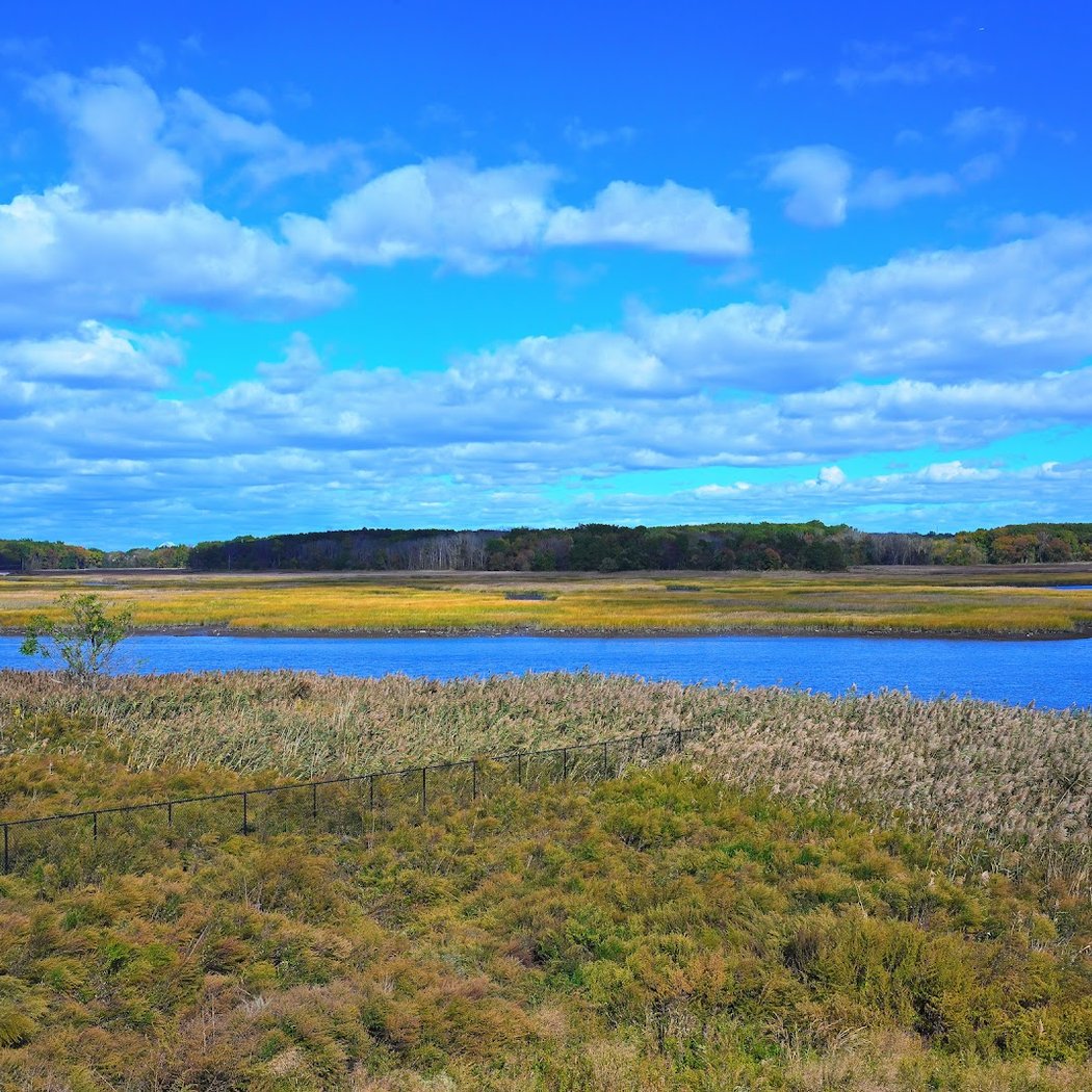 Freshkills Park 2