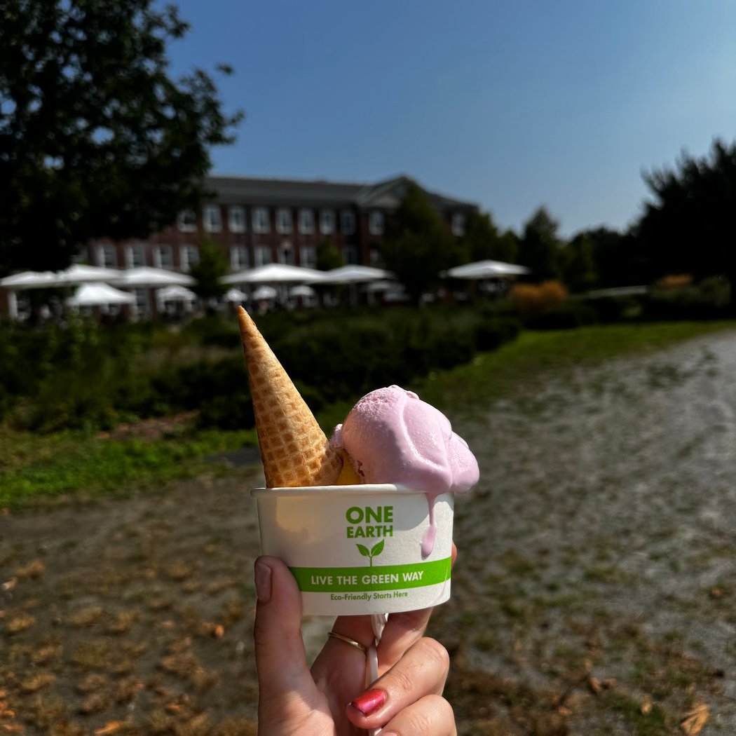 Brigsby Ice Cream 1