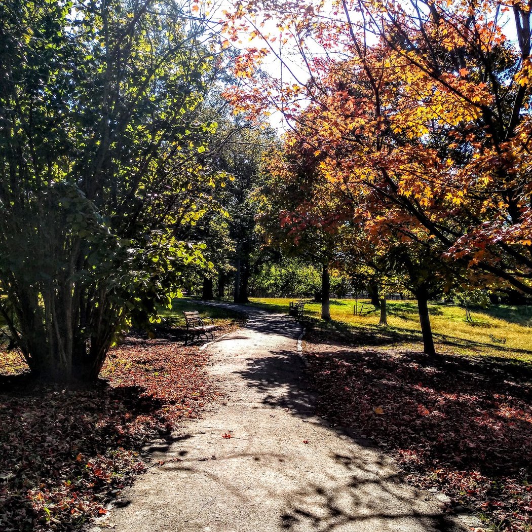 Von Briesen Park 1