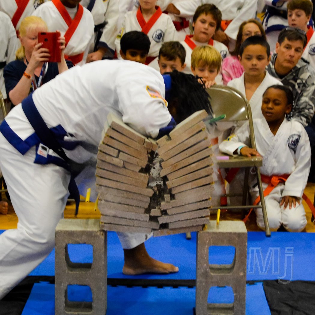 PKSA Karate Ann Arbor North 1