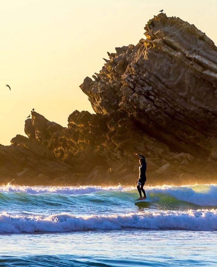 Terry Surfboards 3