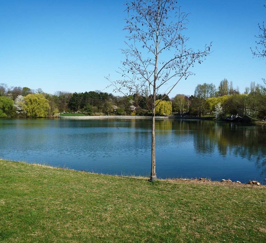 Kurpark Oberlaa 2