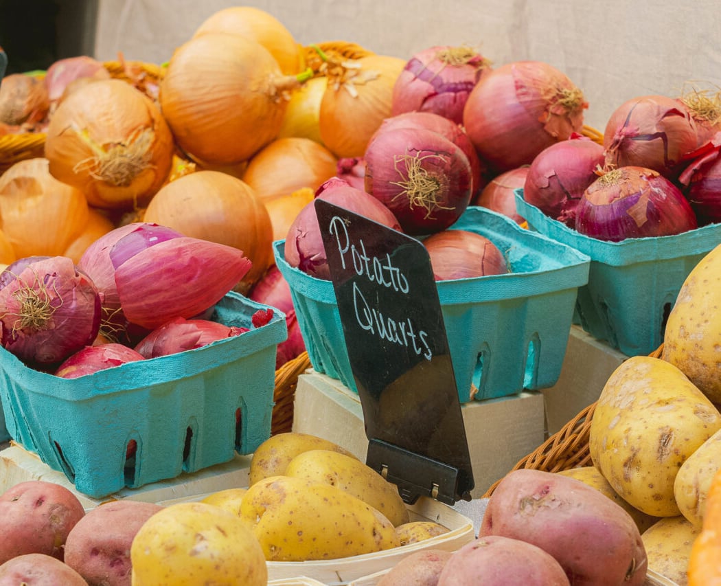 NYBG Farmers Market 1