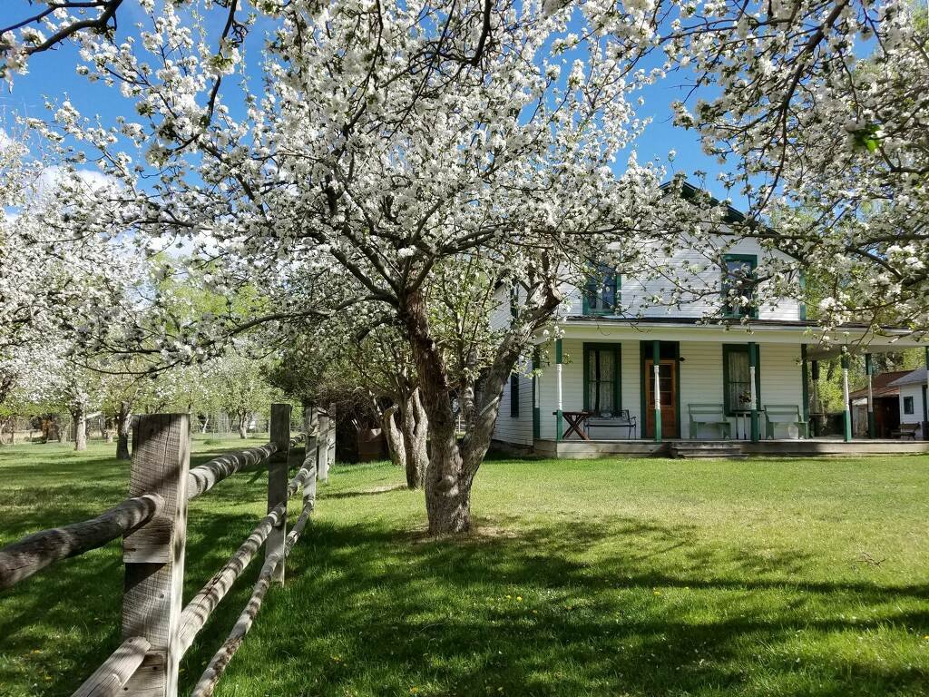 Turner Farm 1