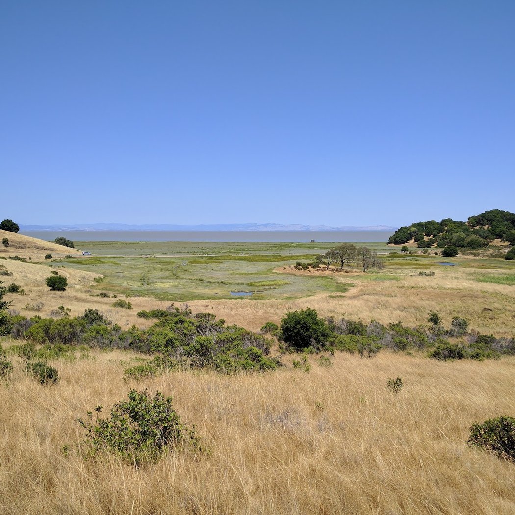 Miwok Meadows 1