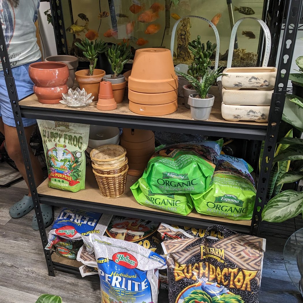 Auntie House of Plants 3