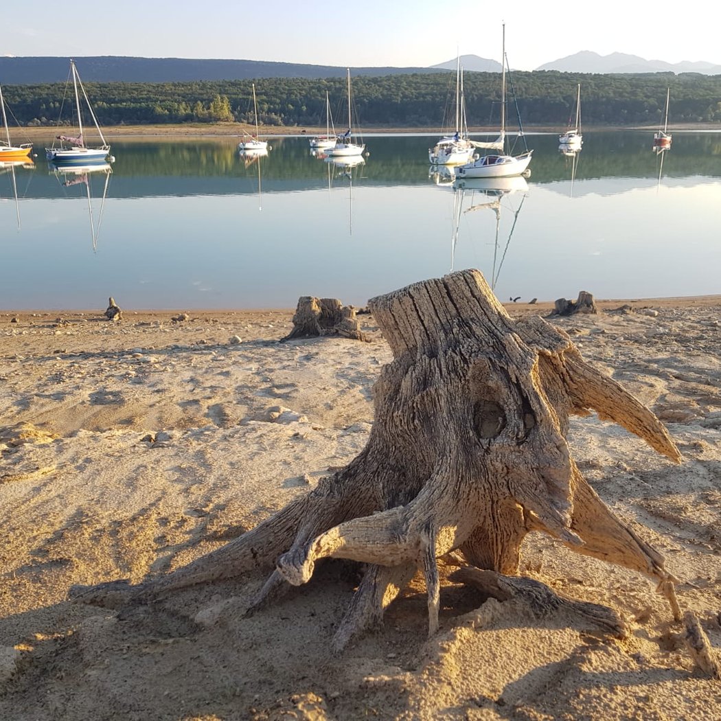 Lac de Montbel 3