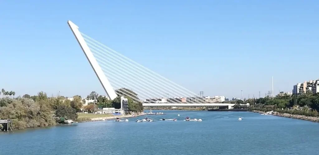 Alamillo Bridge 2