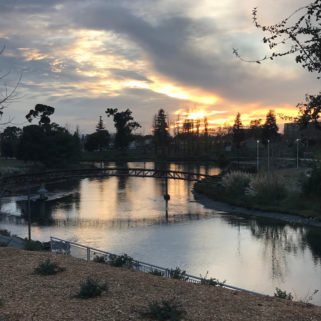 Channel Park 2