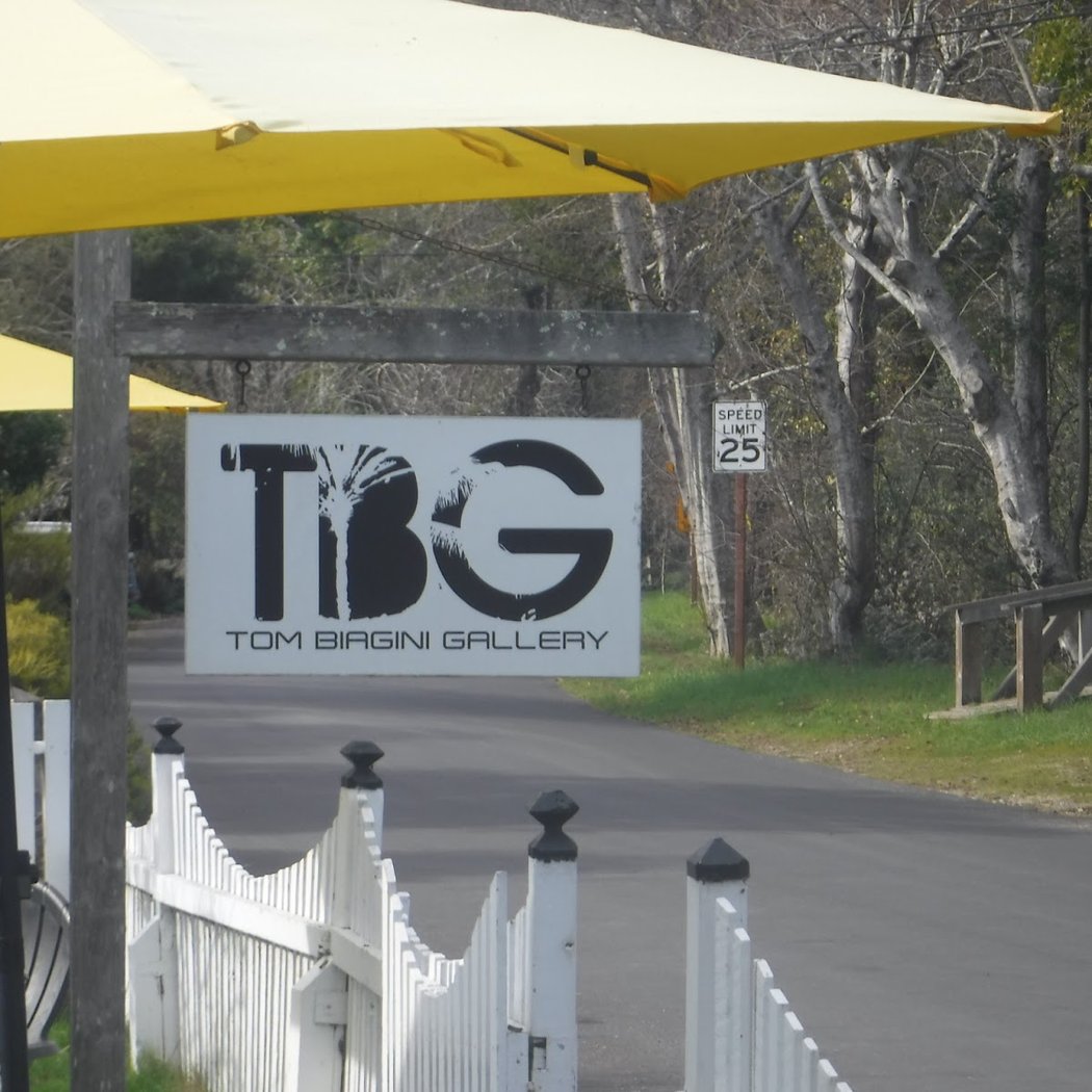 Tom Biagini Gallery 2