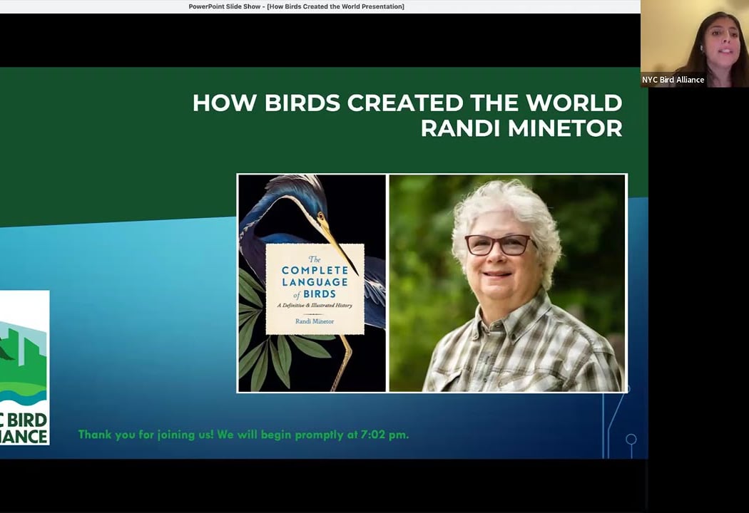How Birds Created the World 1