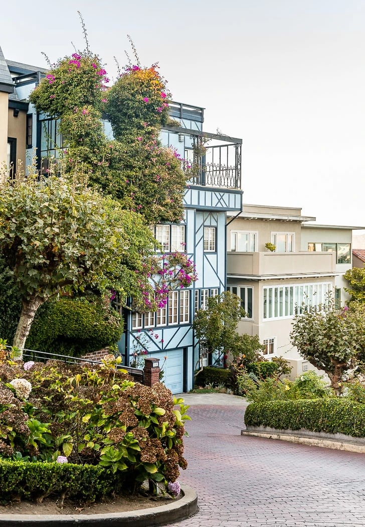 SF City Guides Free Walking Tours 4