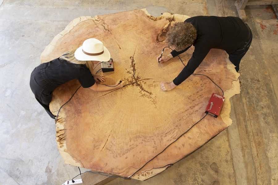 Ancient Wisdom for a Future Ecology: Trees, Time, and Technology 3
