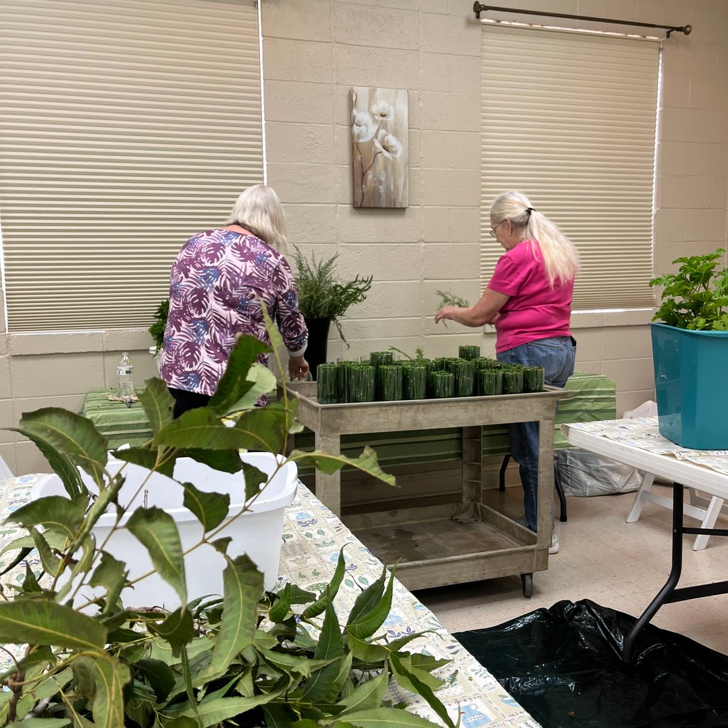 Let's Talk Gardening! 2