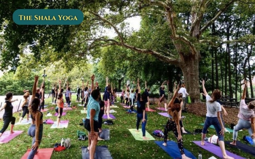 The Shala Yoga House | Union Square: Yoga Classes + Teacher Training 1