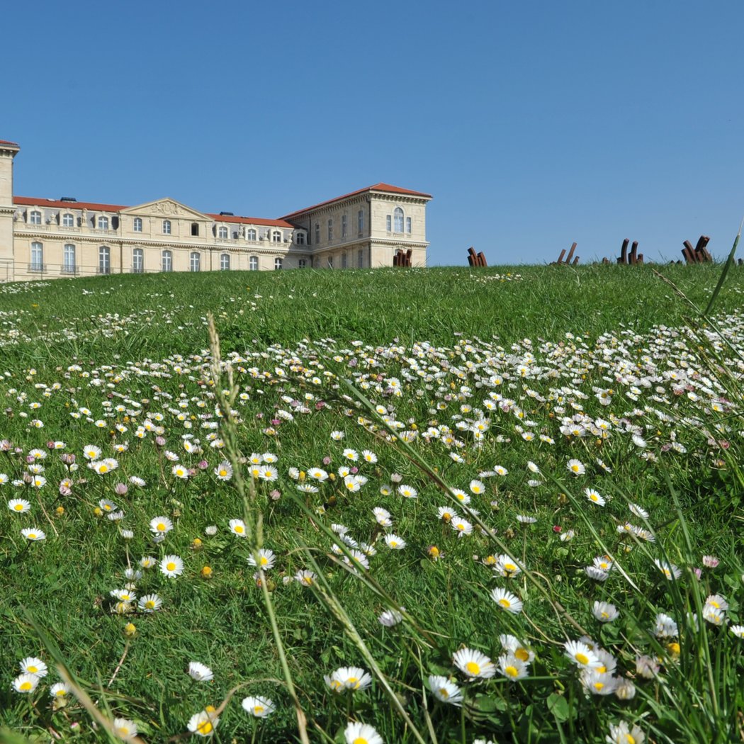 Parc du Pharo 1