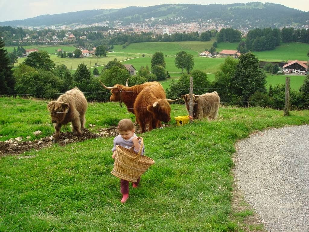 Ferme Sterchi 1