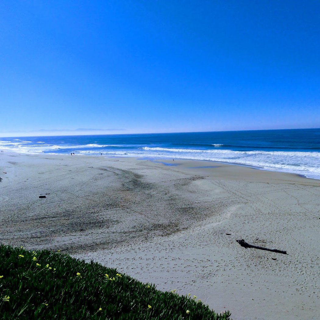 Beach Cleanup 2