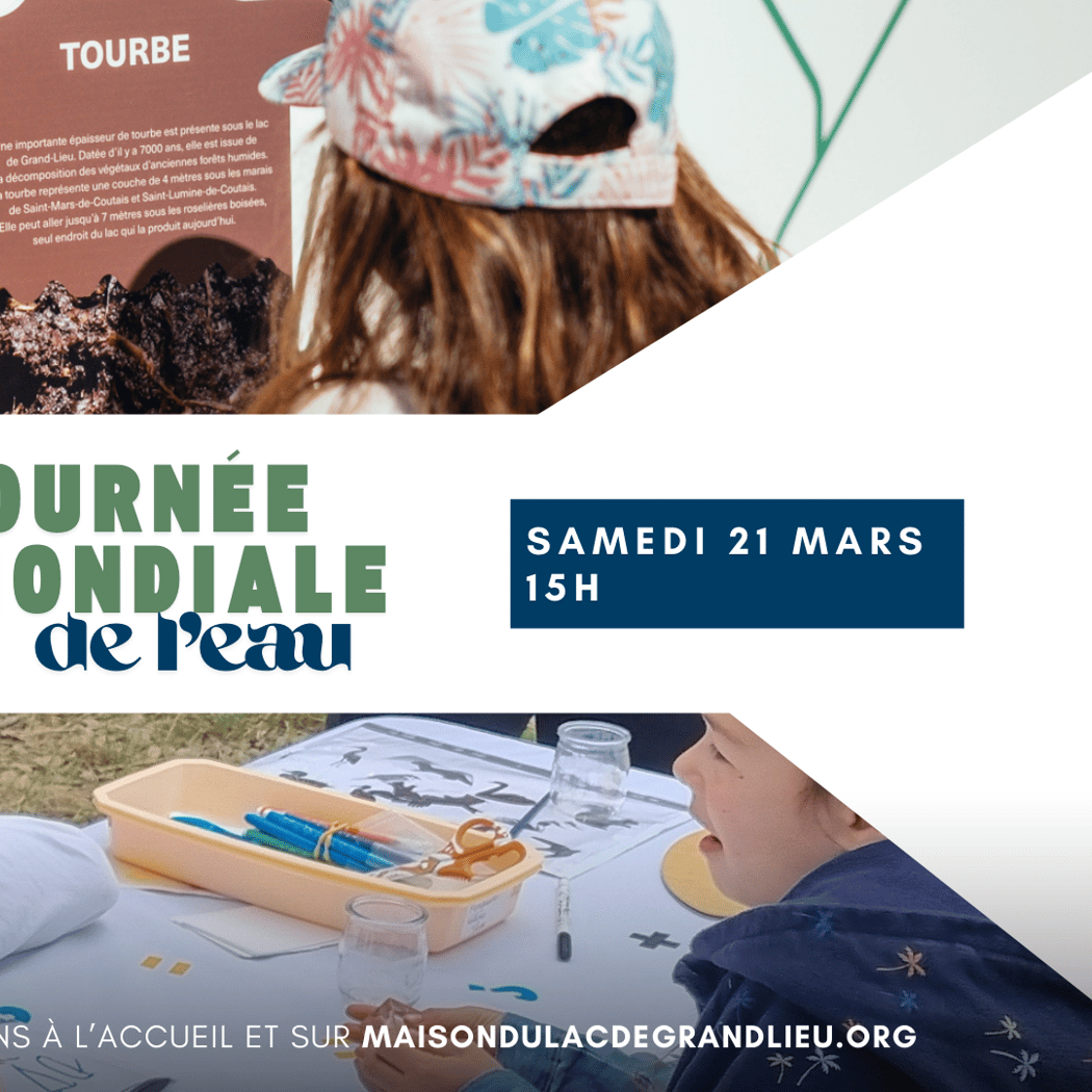 Animation famille pour la Journée mondiale de l’eau 1