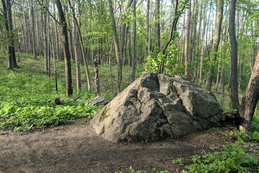 Bird Hills Nature Area 2
