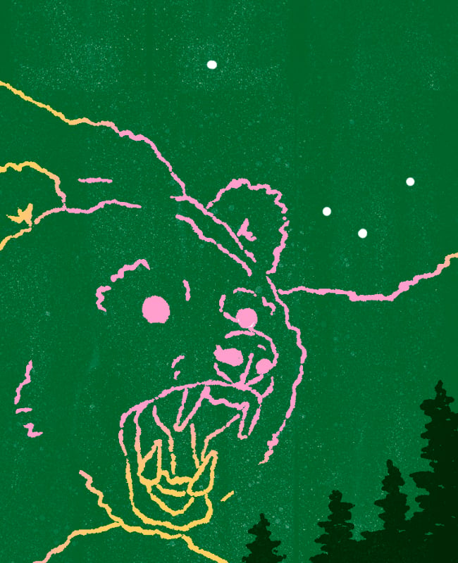 Ursa Major 3