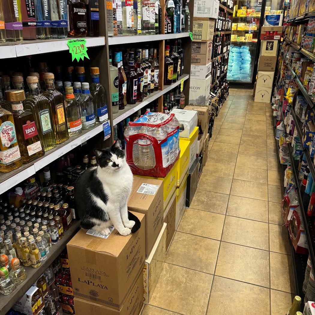 Sherman Market 1