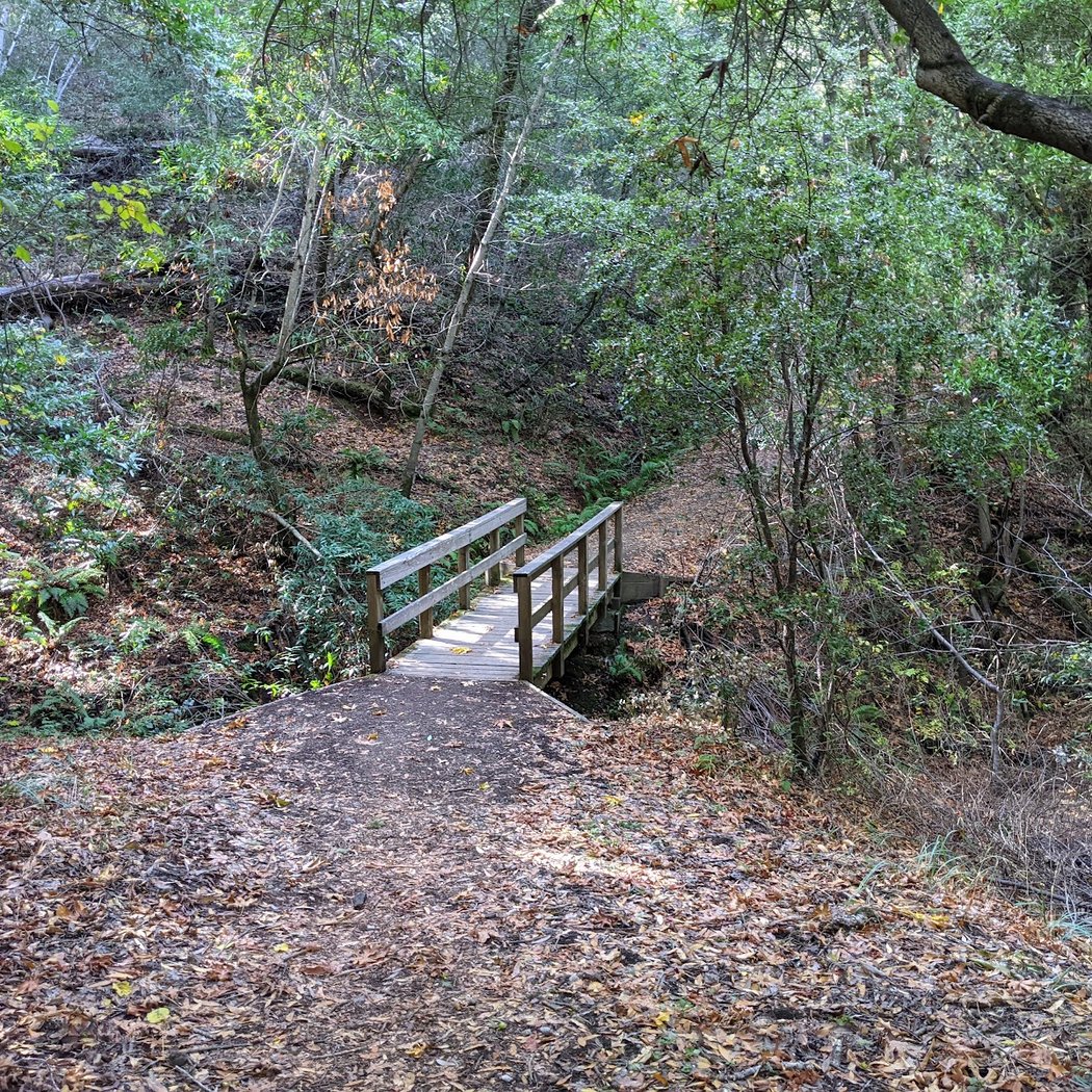 Los Trancos Open Space Preserve 1