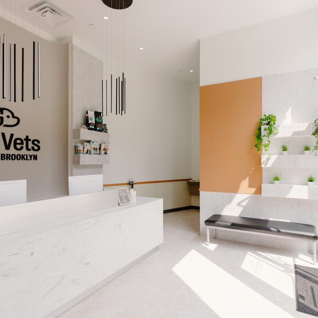 GoodVets Downtown Brooklyn 3