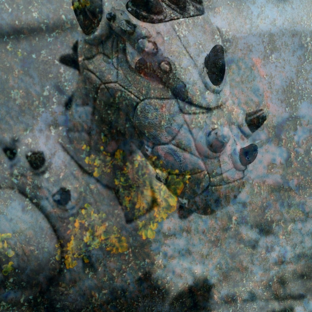 7 manières d’habiter le monde 1