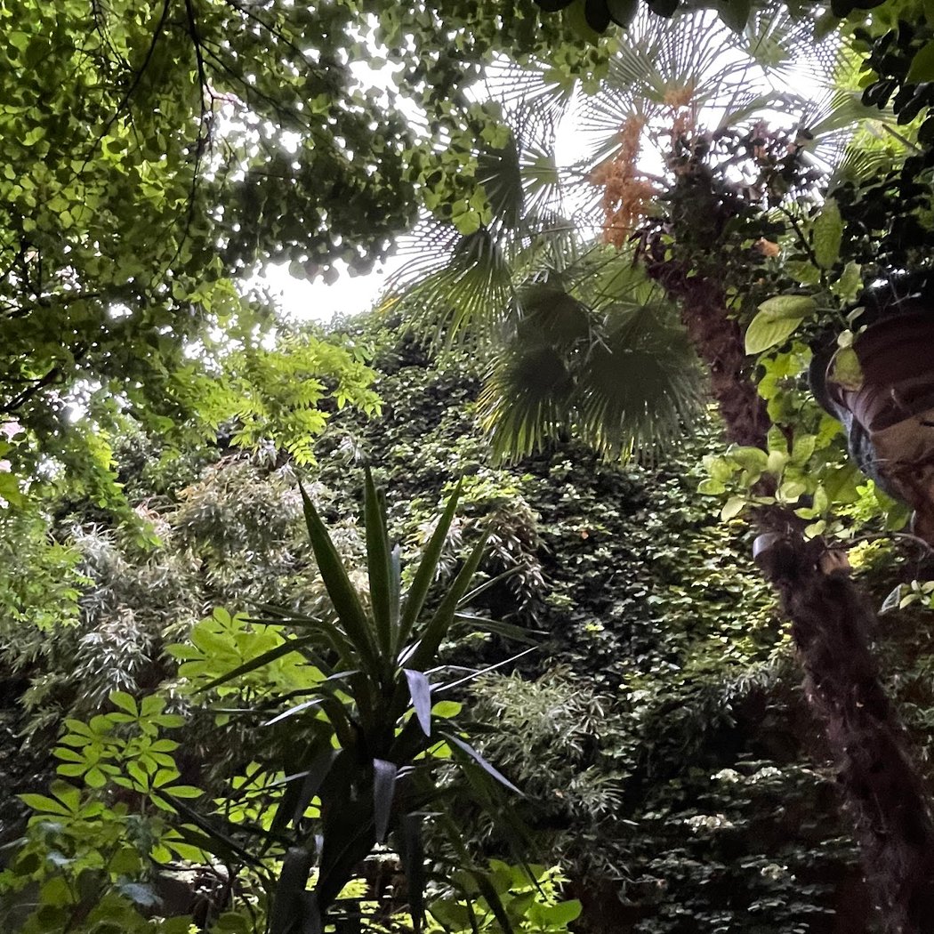 oasis verte du 12 3