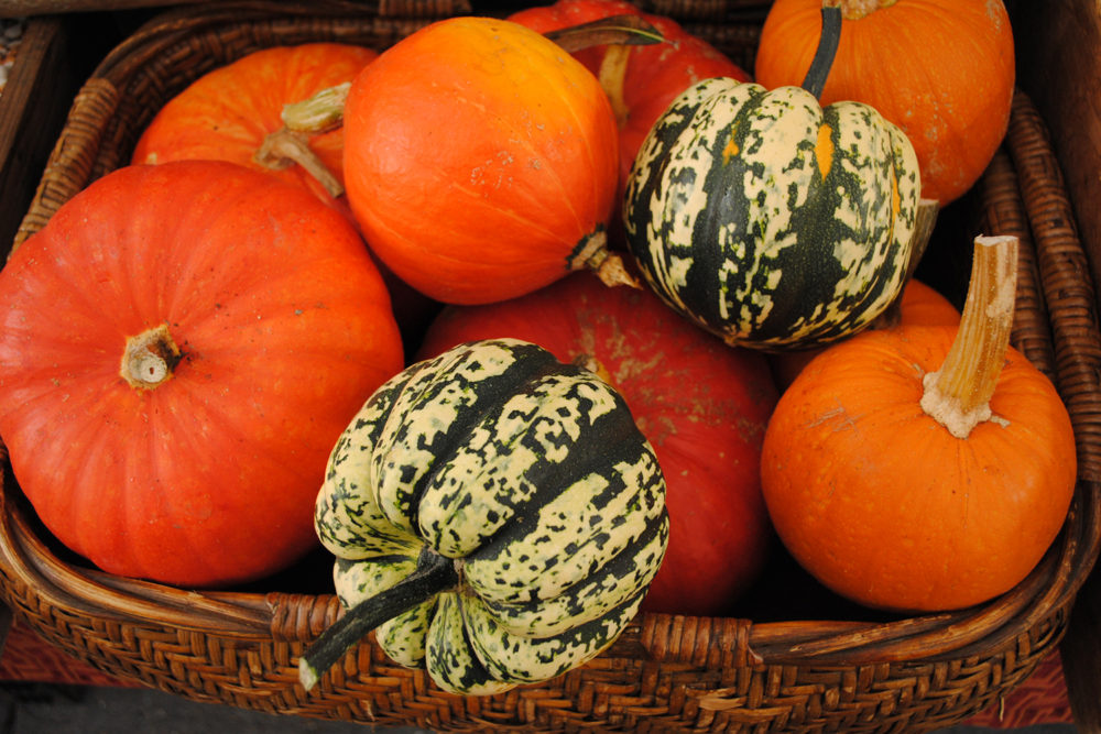 Fall Holiday Farmers Market 1