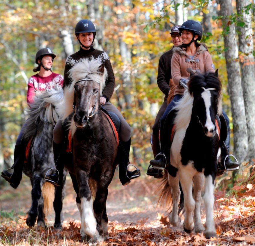 Riding Club and Pony Club Forest Moulière 1