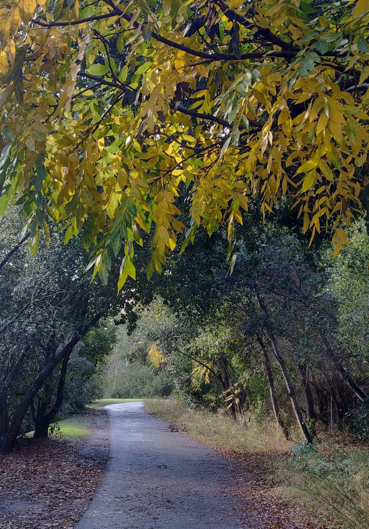 Los Gatos Creek Trail, St. Elizabeth Dr Entrance 1