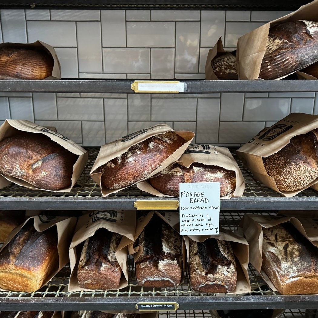 Josey Baker Bread 4