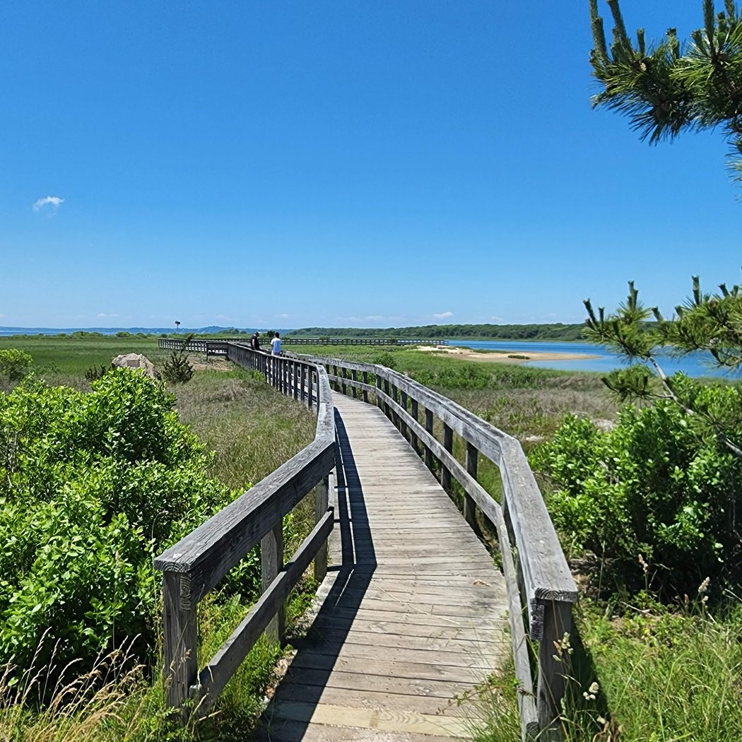 Meadow Lane Boardwalk 1