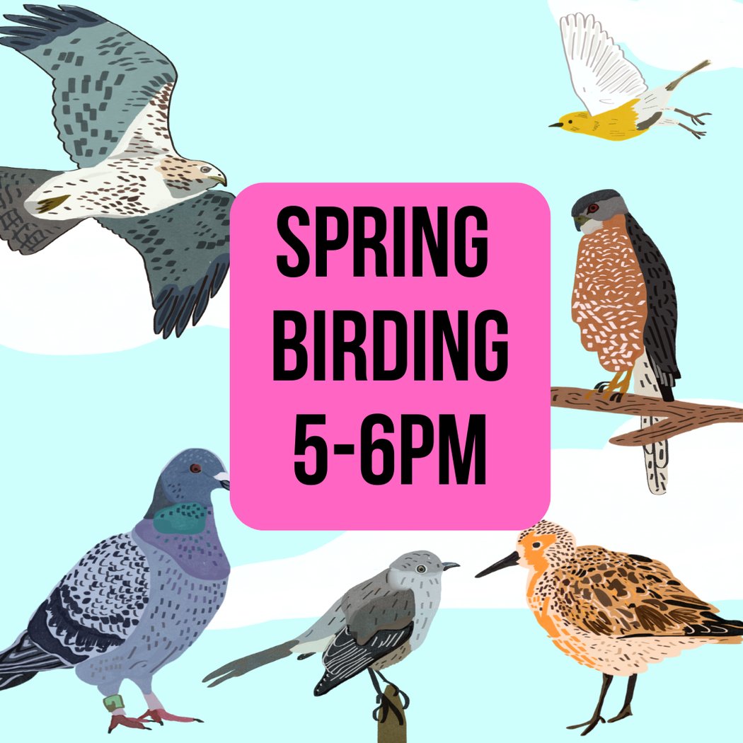 Bird Walk with Gabriel Willow 1