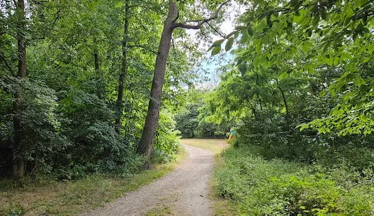 Forêt domaniale de Saint-Germain 3