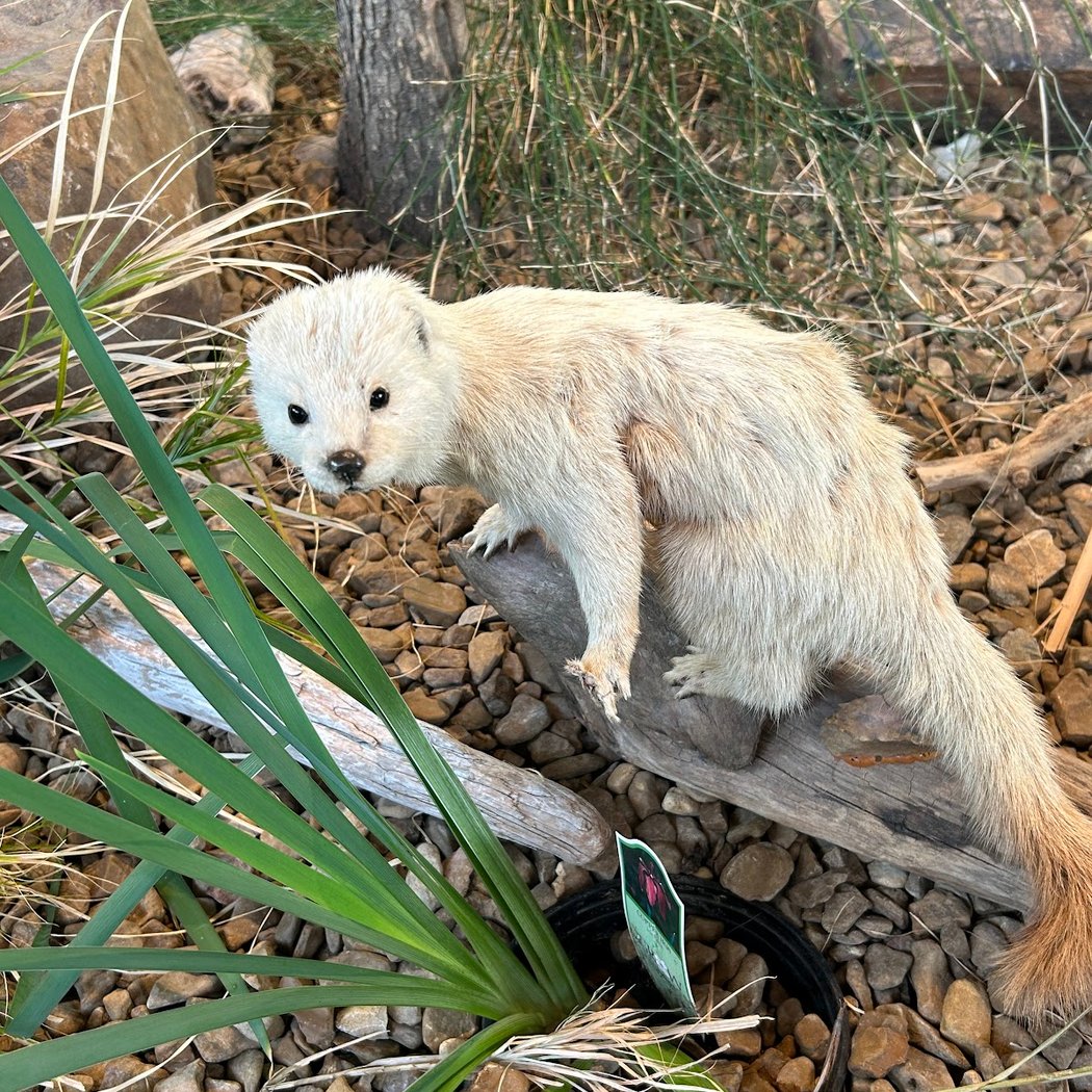 Saturday Nature Storytime & Trails Exploration 2