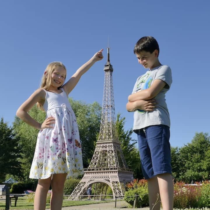 France Miniature 1