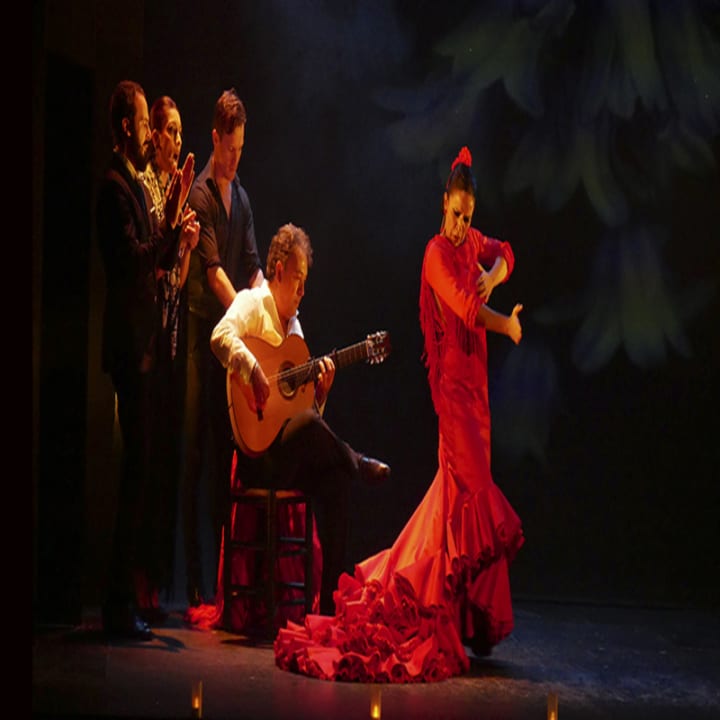 Clase de Flamenco 3