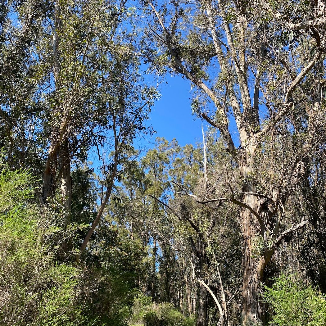 Jones Trailhead 2