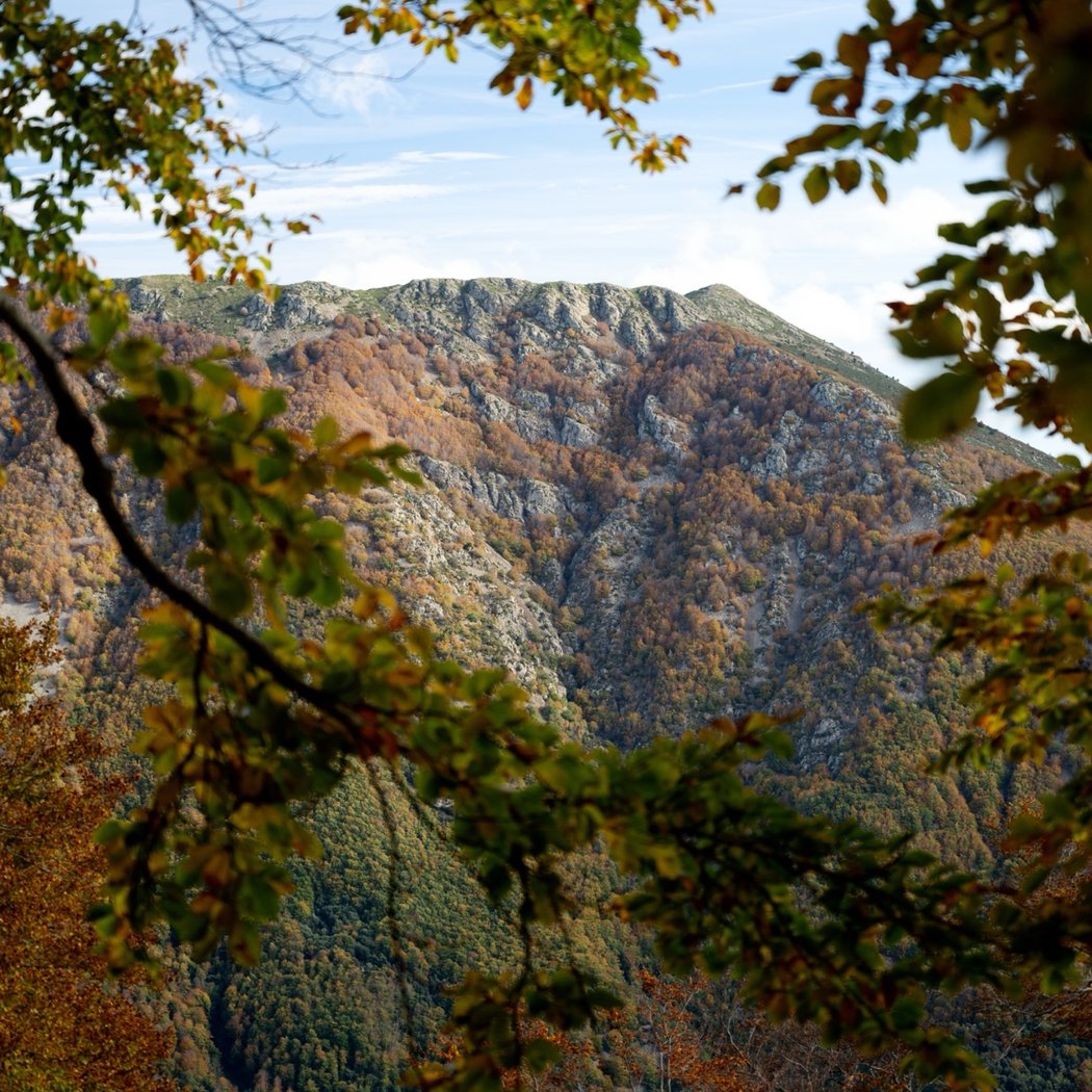 Montseny 1