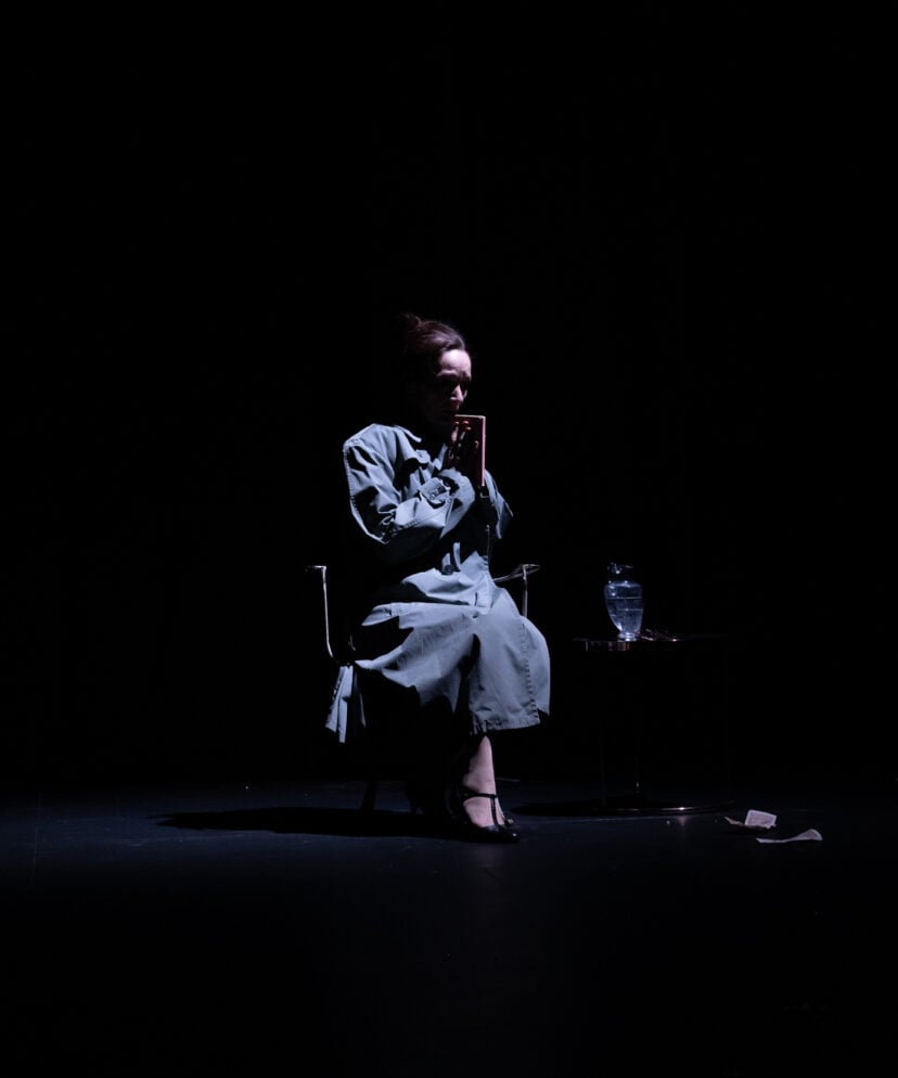 24 heures de la vie d'une femme 2